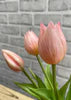 10" Fresh Touch Mini Wild Tulip Bundle