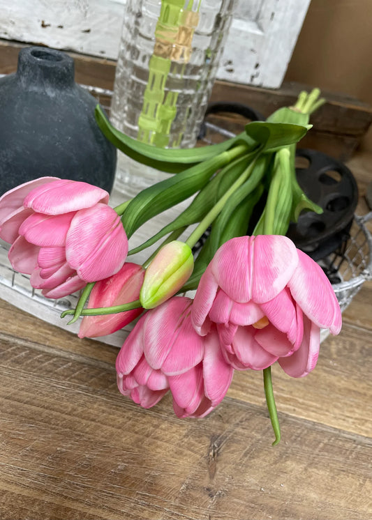 16.5" Fresh Touch Pink Double Late Tulip Bundle