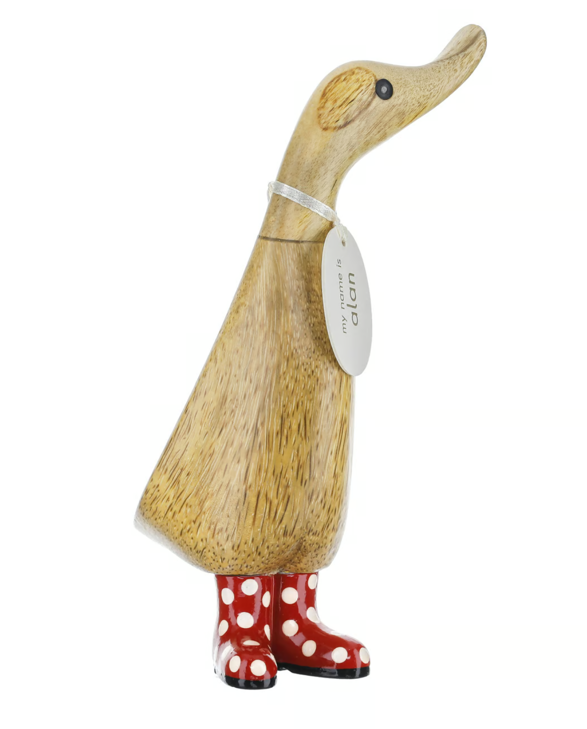 Spotty Boots Duckling