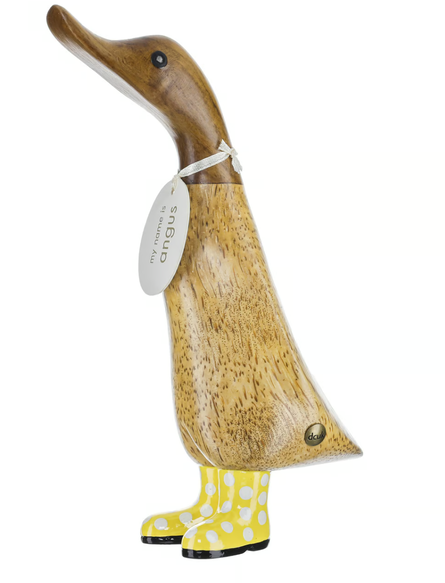 Spotty Boots Duckling