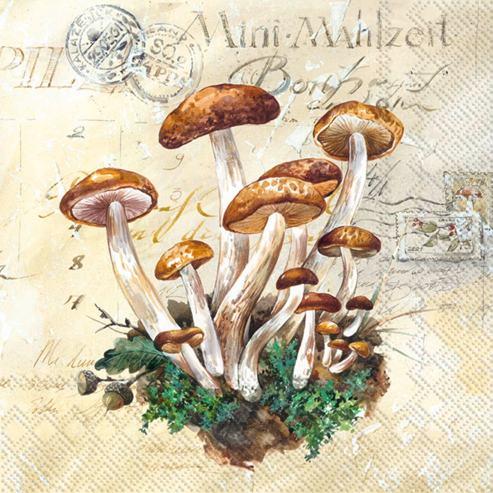 Mushrooms Harvest Cream Cocktail Napkns
