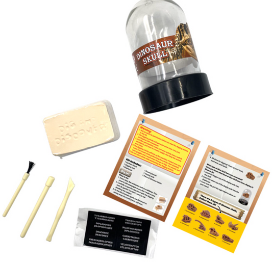 Dig it Out - Dinosaur Skull