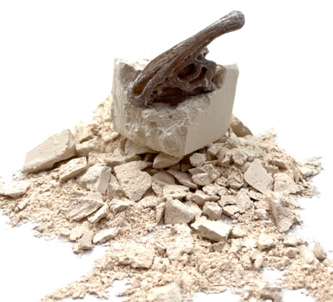 Dig it Out - Dinosaur Skull