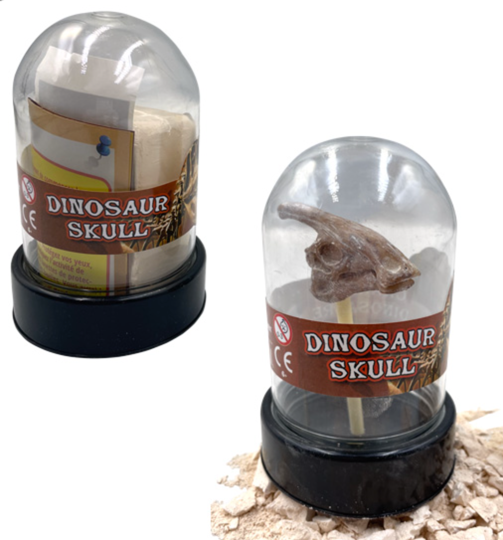 Dig it Out - Dinosaur Skull