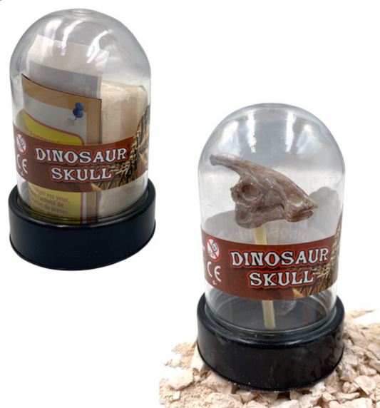 Dig it Out - Dinosaur Skull