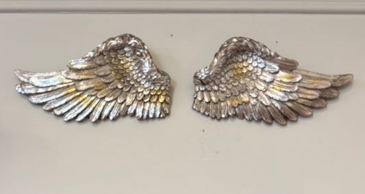 Angel Wings - set of 2
