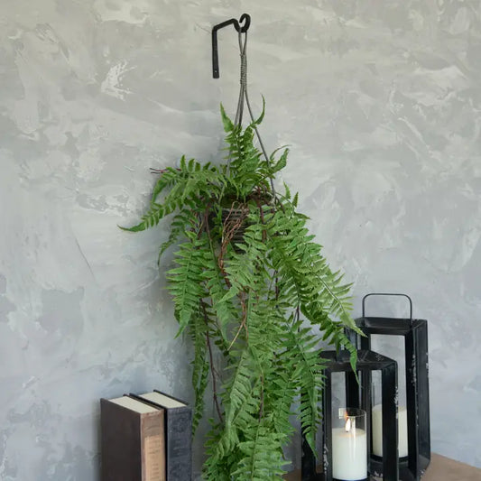 35" Leather Fern Hanging Basket