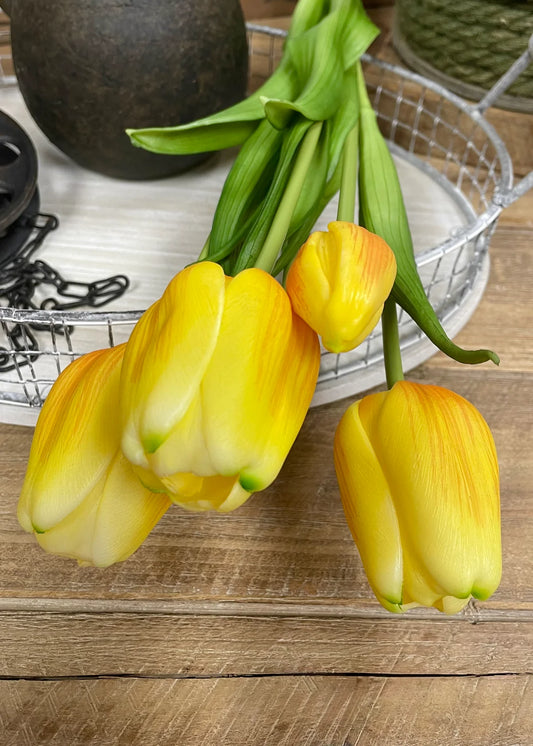 18" Fresh Touch Yellow Day Dream Tulip