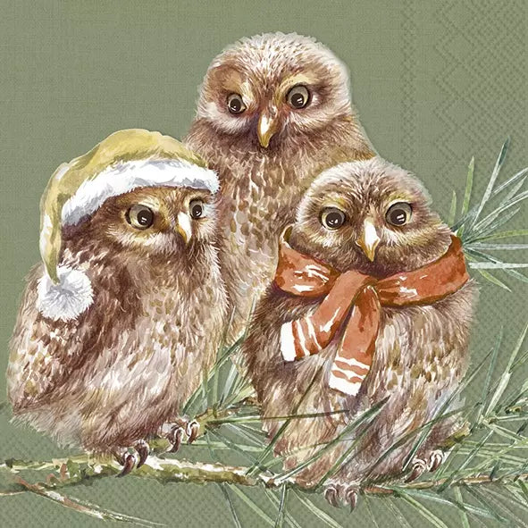Winter Owls Green Luncheon Napkins