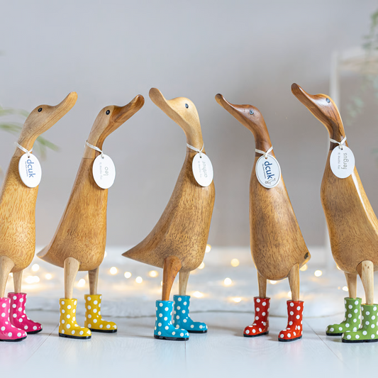 Spotty Boots Ducklet
