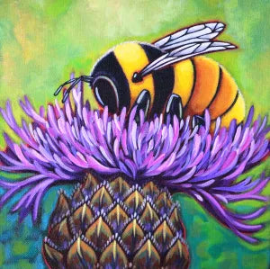 Pollinating Knapweed 5x5 Note Card