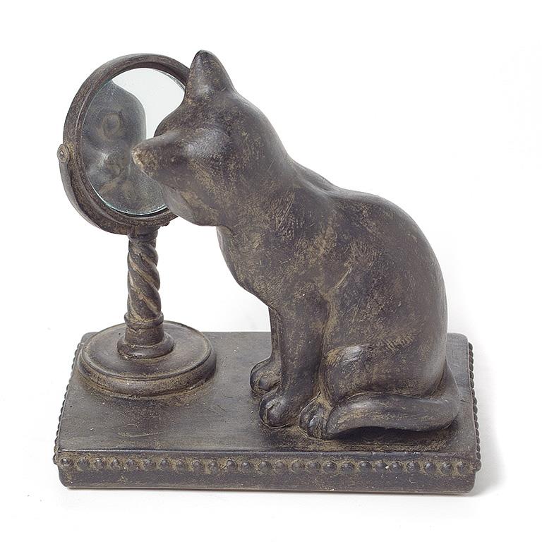 Small Cat Gazing in Mirror