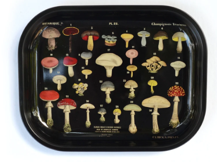 Small Metal Ritual Tray -5"x7" tray made of sturdy metal