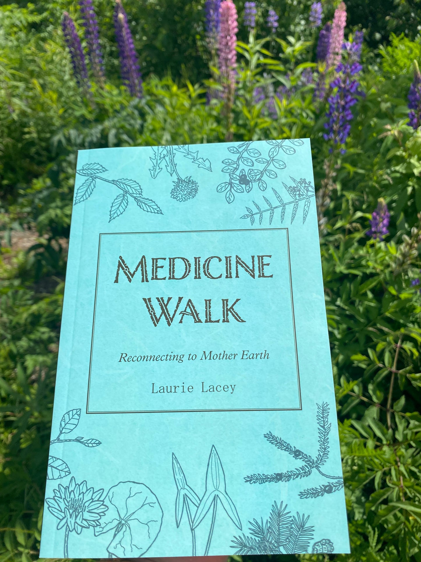 Medicine Walk