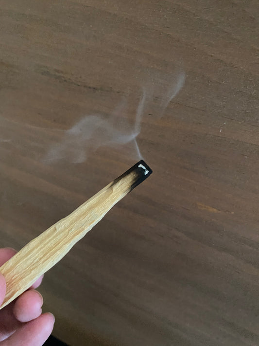 Palo Santo stick