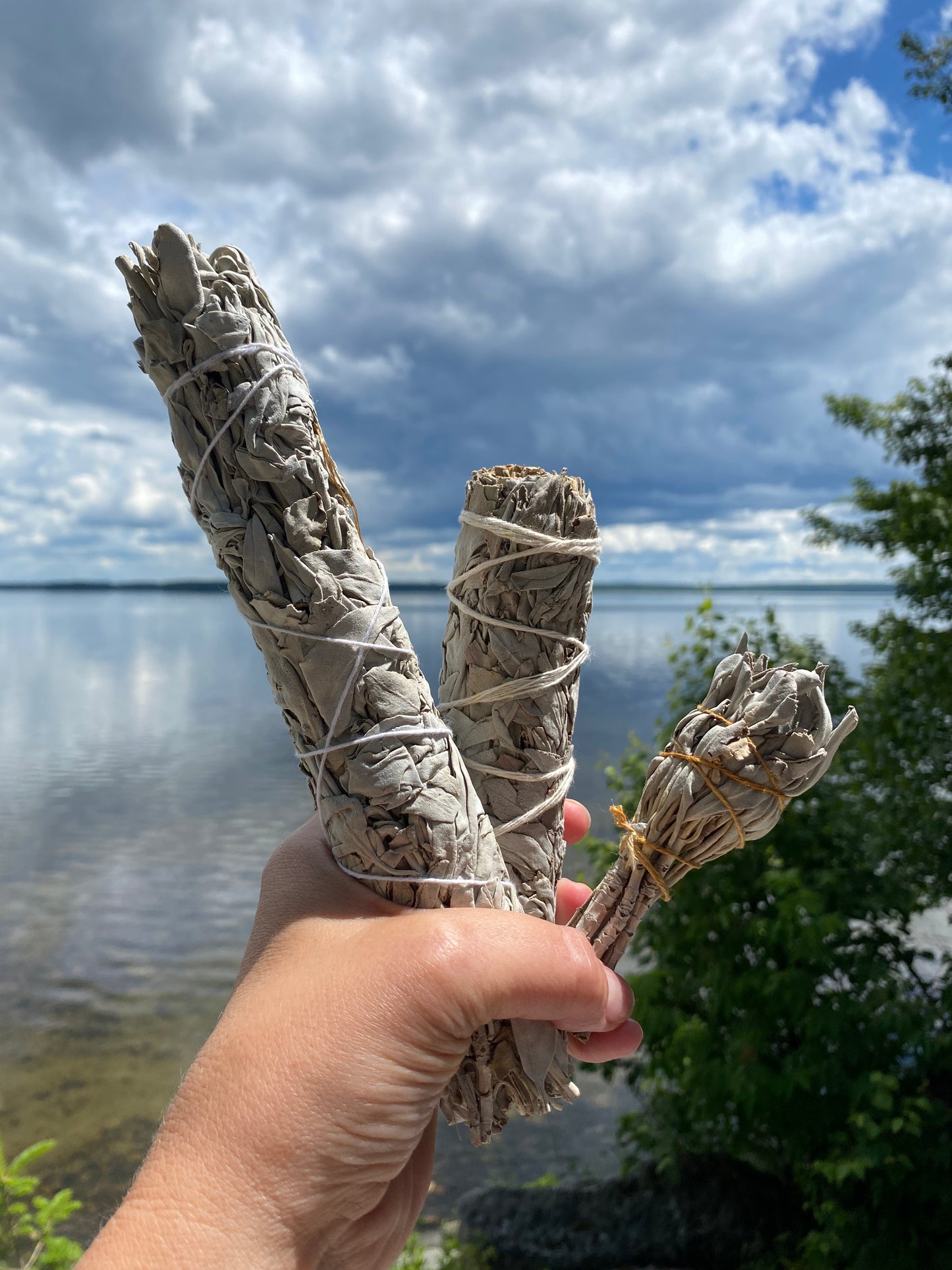 White Sage Bundles