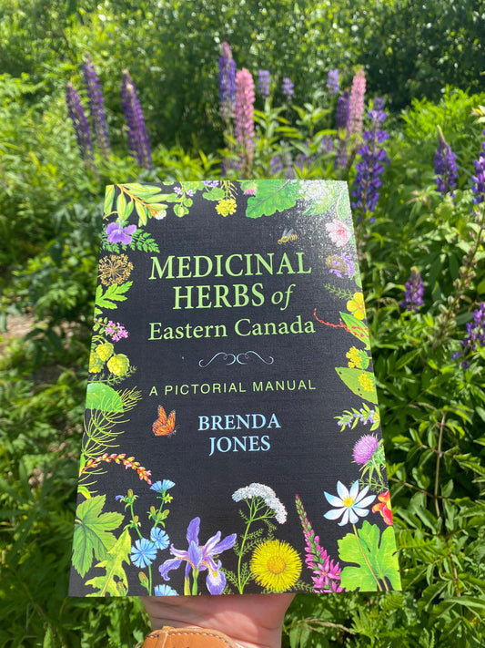 Medicinal Herbs of Eastern Canada A Pictorial Manual