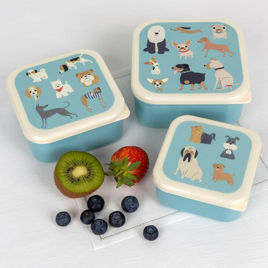 Best in Show Snack Boxes