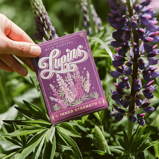 Seed Packet
