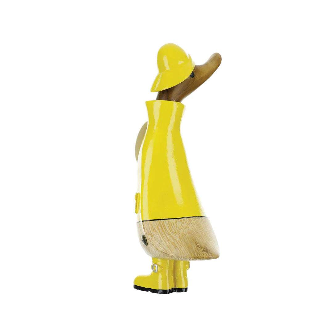 Rainy Day Duckling