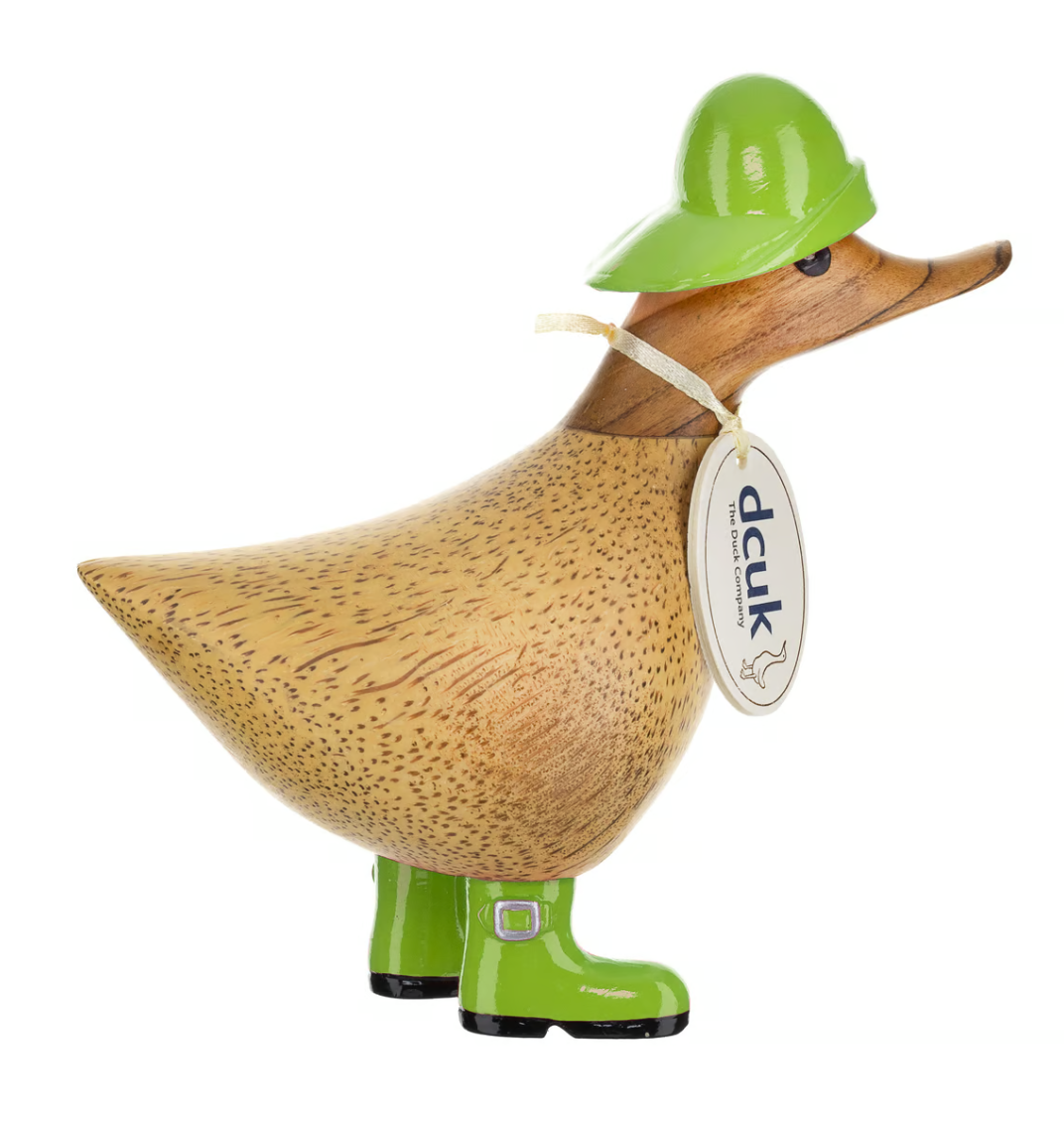 Rainy Day Ducky