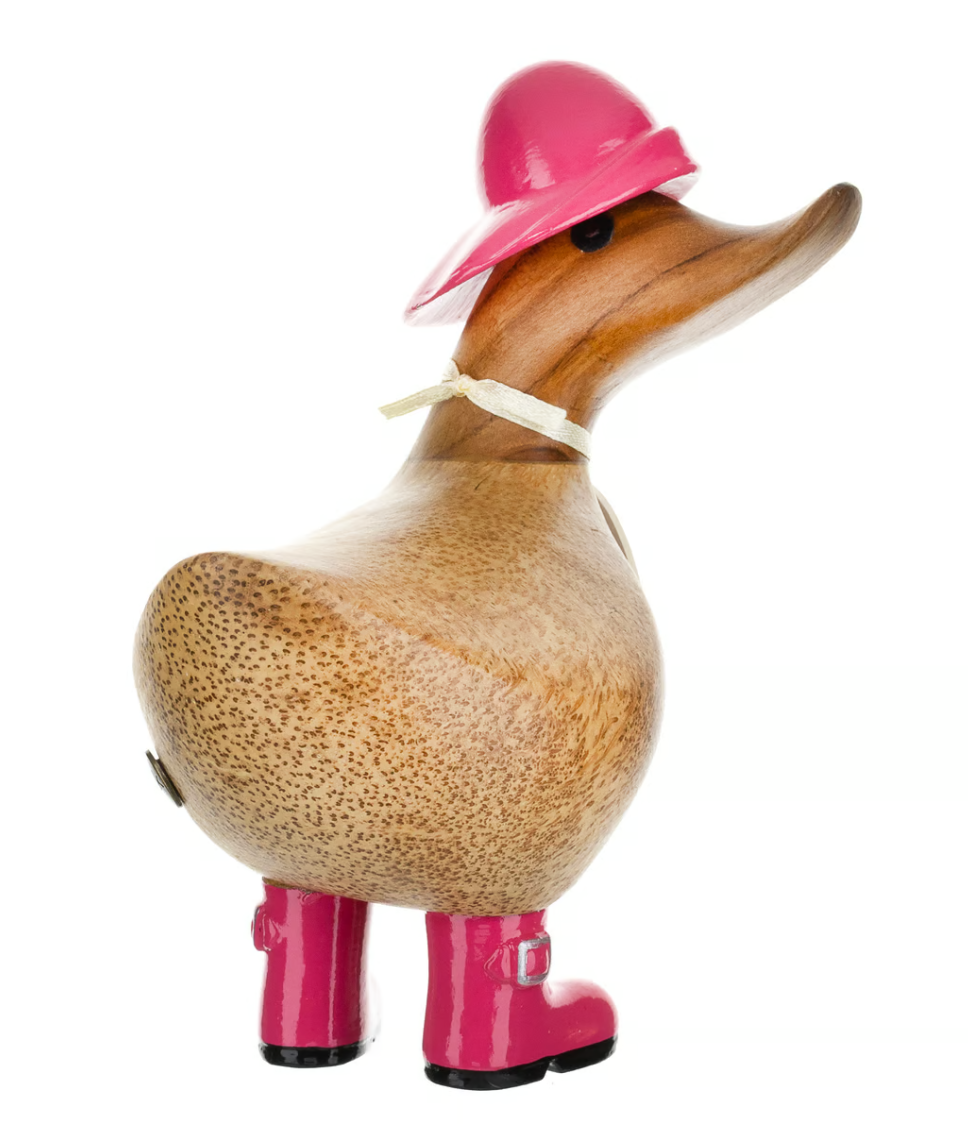 Rainy Day Ducky