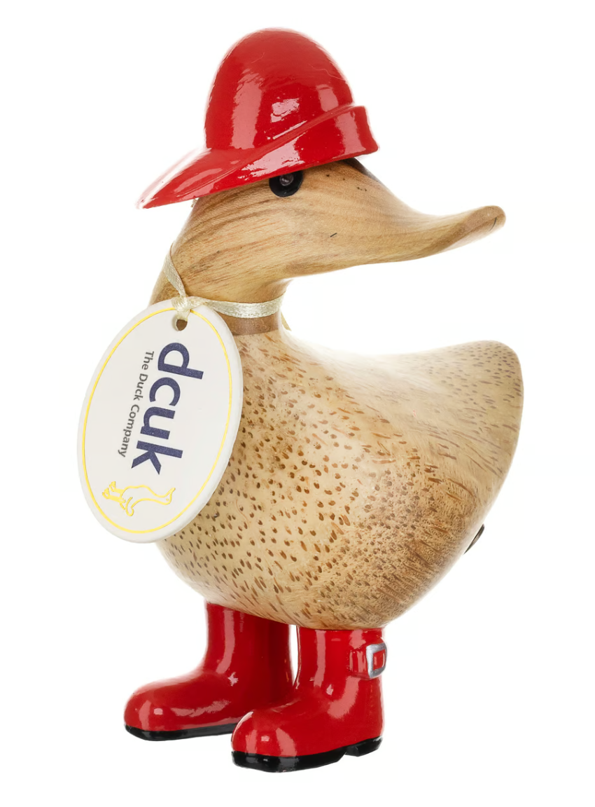 Rainy Day Ducky