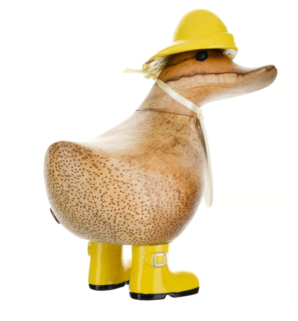 Rainy Day Ducky