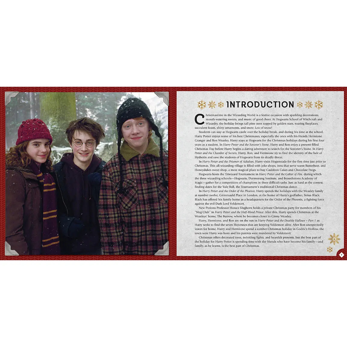 Harry Potter Christmas At Hogwarts