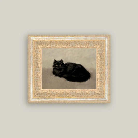 Black Cat Framed Antique Art Print 12" x 10"