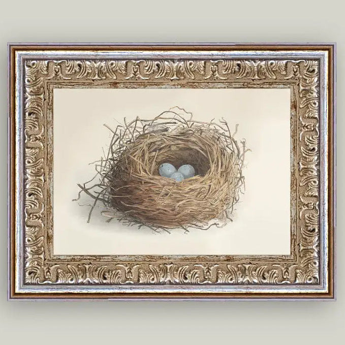 Blue Eggs in A Nest Framed Antique Art 7 x 5"