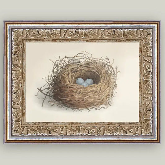 Blue Eggs in A Nest Framed Antique Art 7 x 5"