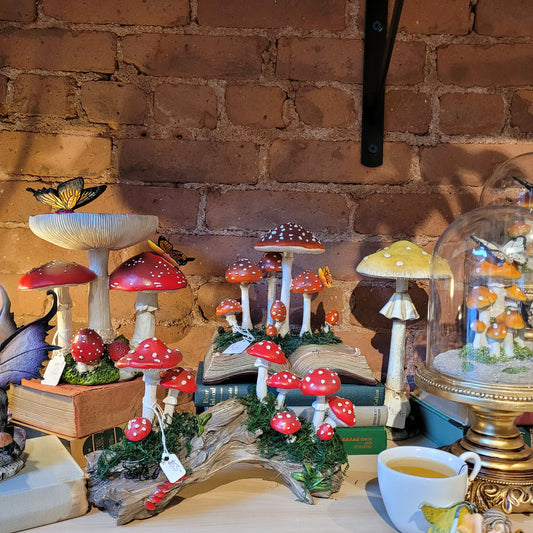 Toadstool Mushroom On Stump