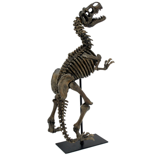 Faux T-Rex Reaching Skeleton