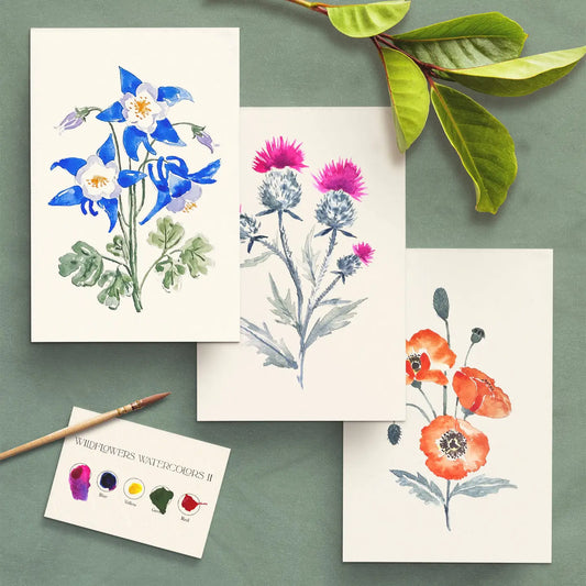 Watercolour Painting Kit - Wildflowers No. 2