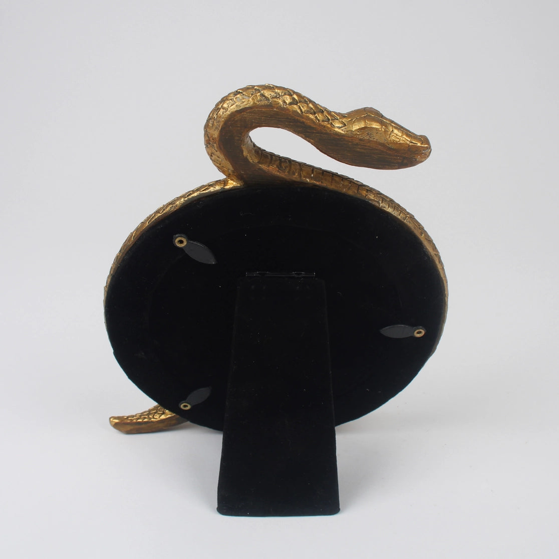 Gold Snake Photo Frame