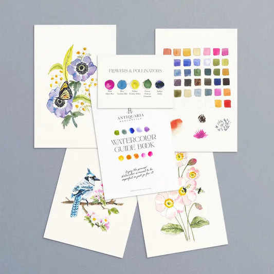 Watercolour Painting Kit - Friend of the Pollinators