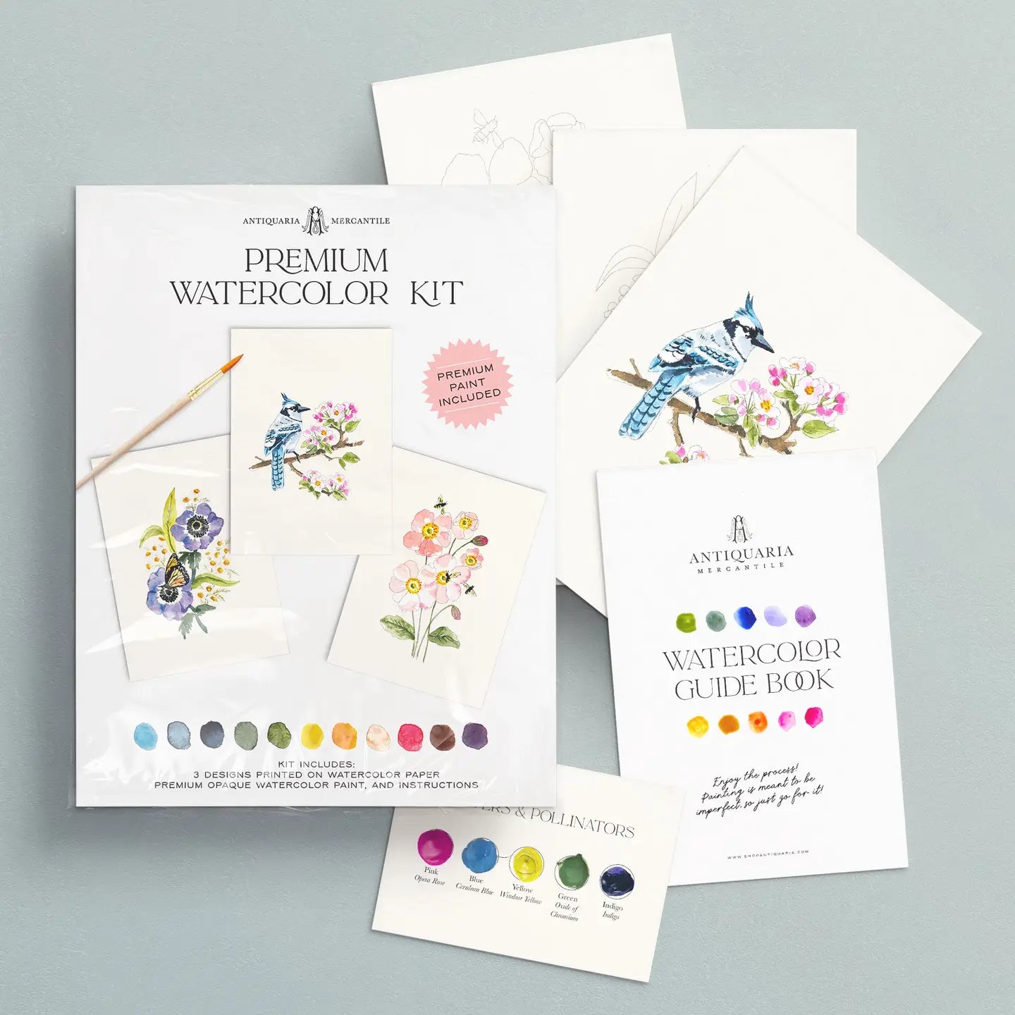 Watercolour Painting Kit - Friend of the Pollinators