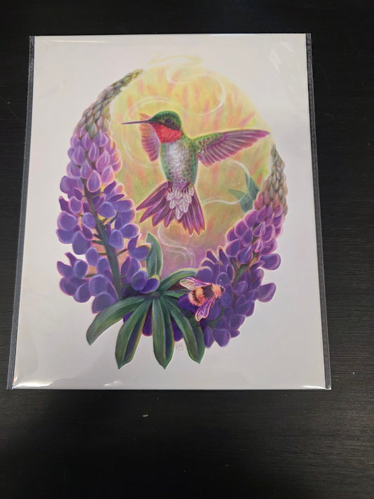 "July" Hummingbird 8x10 Print - Local