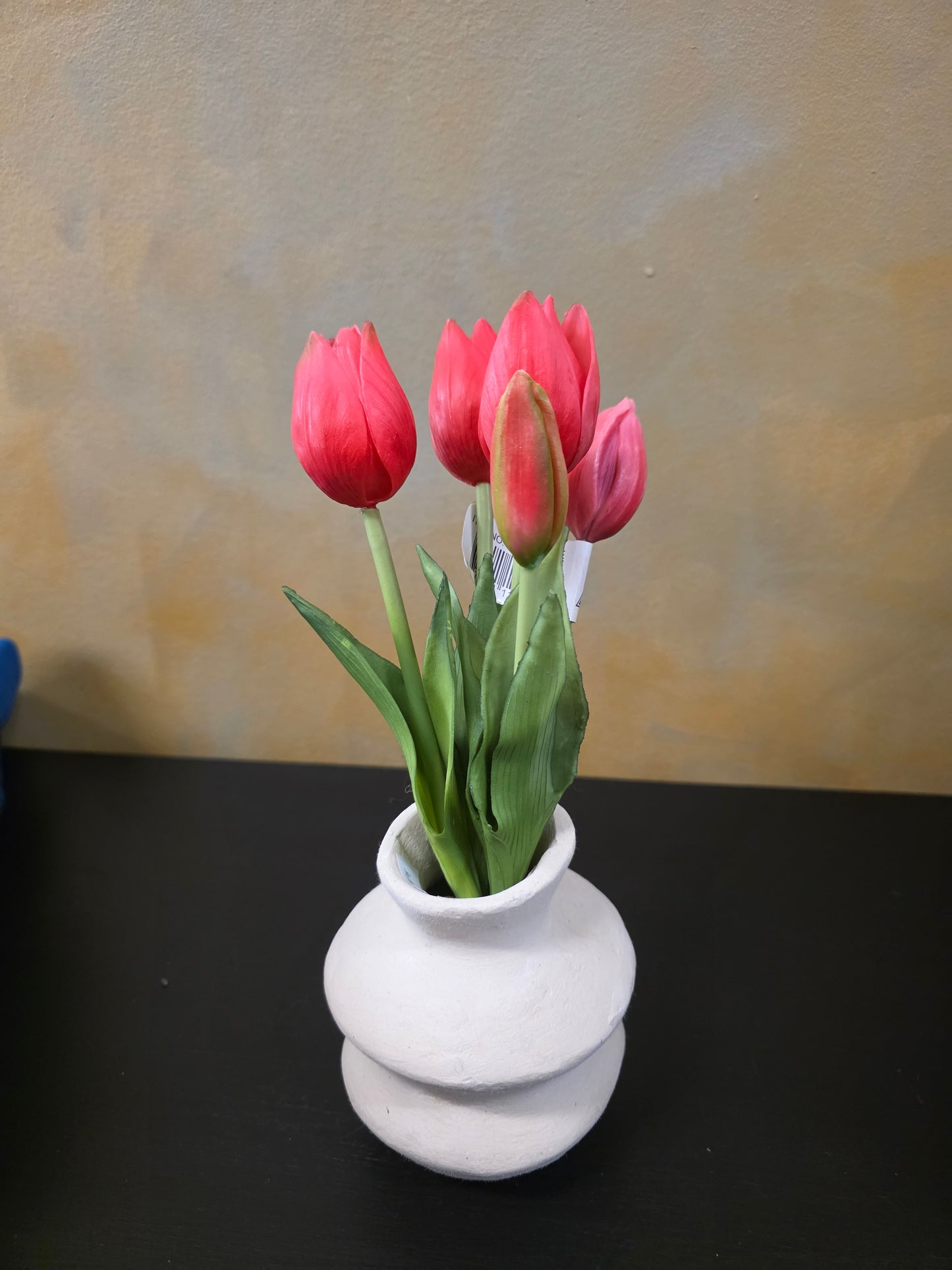 10" Fresh Touch Mini Wild Tulip Bundle
