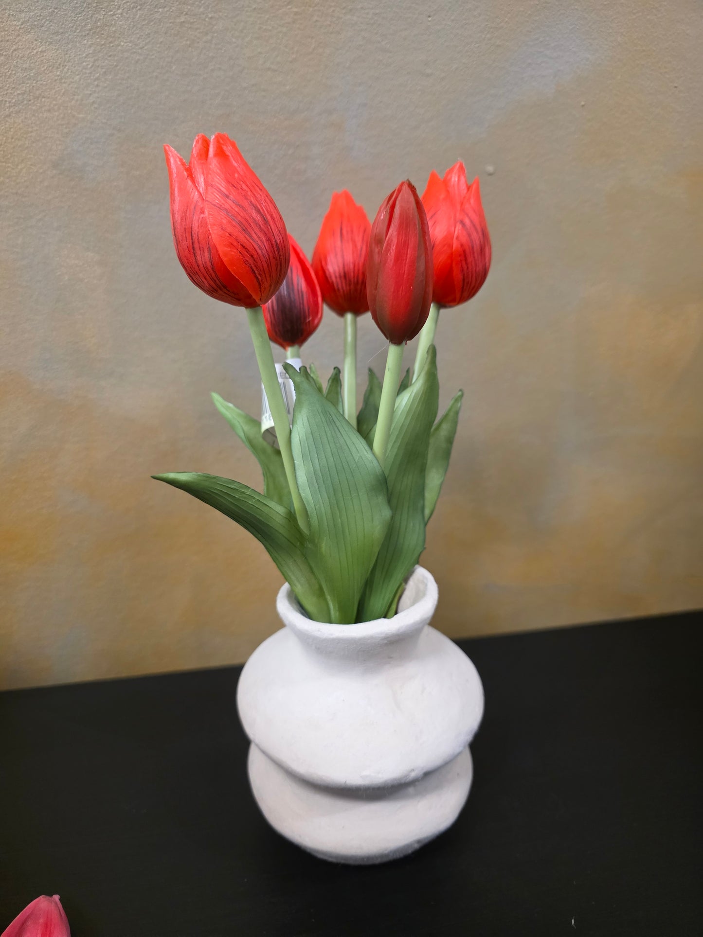 10" Fresh Touch Mini Wild Tulip Bundle