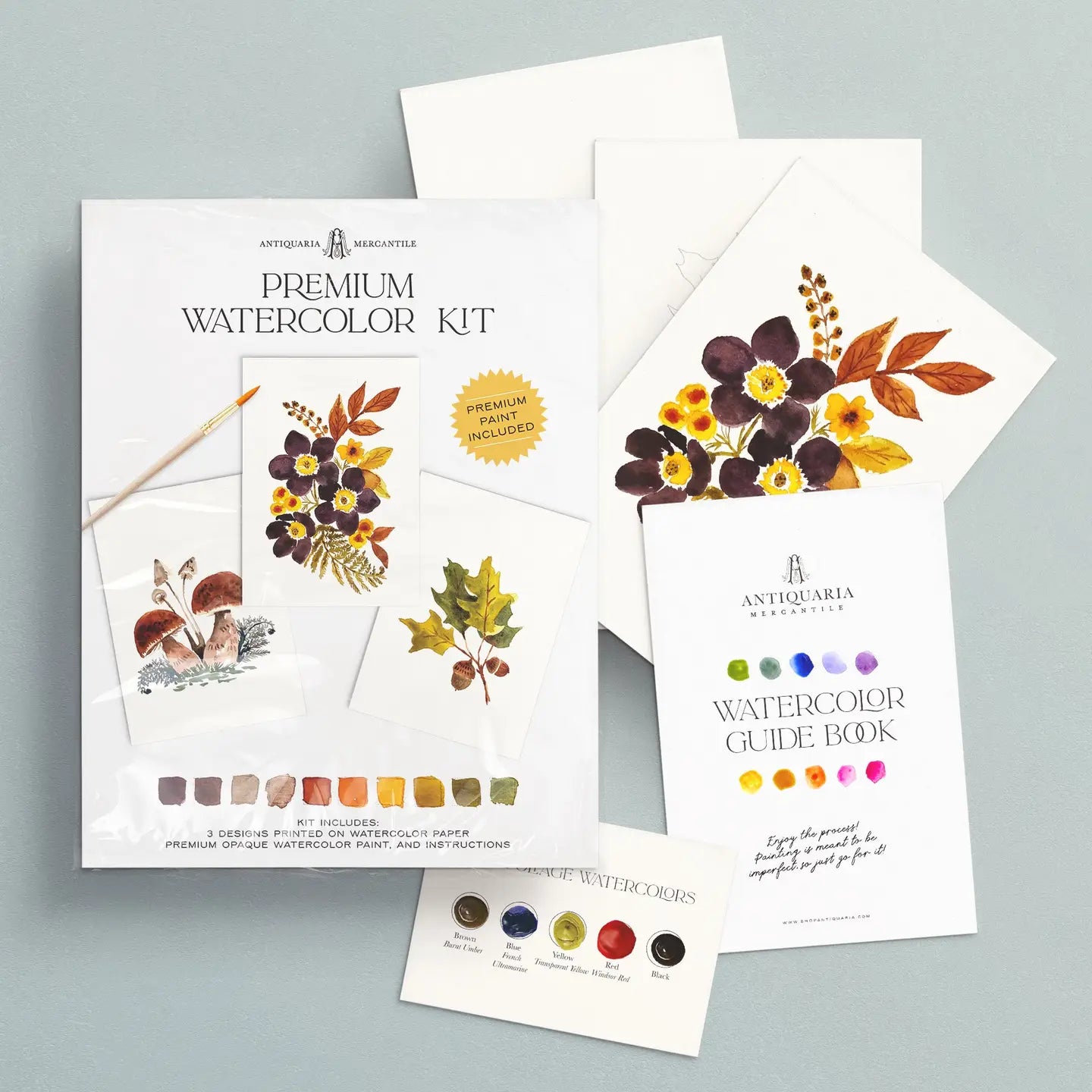 Watercolour Painting Kit - Woodland Botanicals