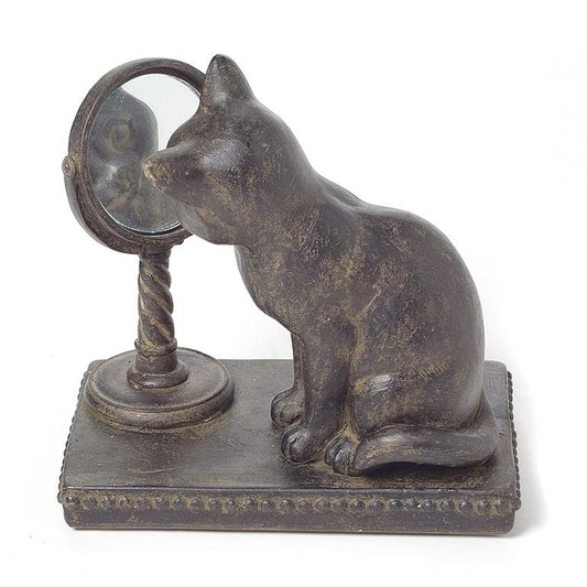 Small Cat Gazing in Mirror