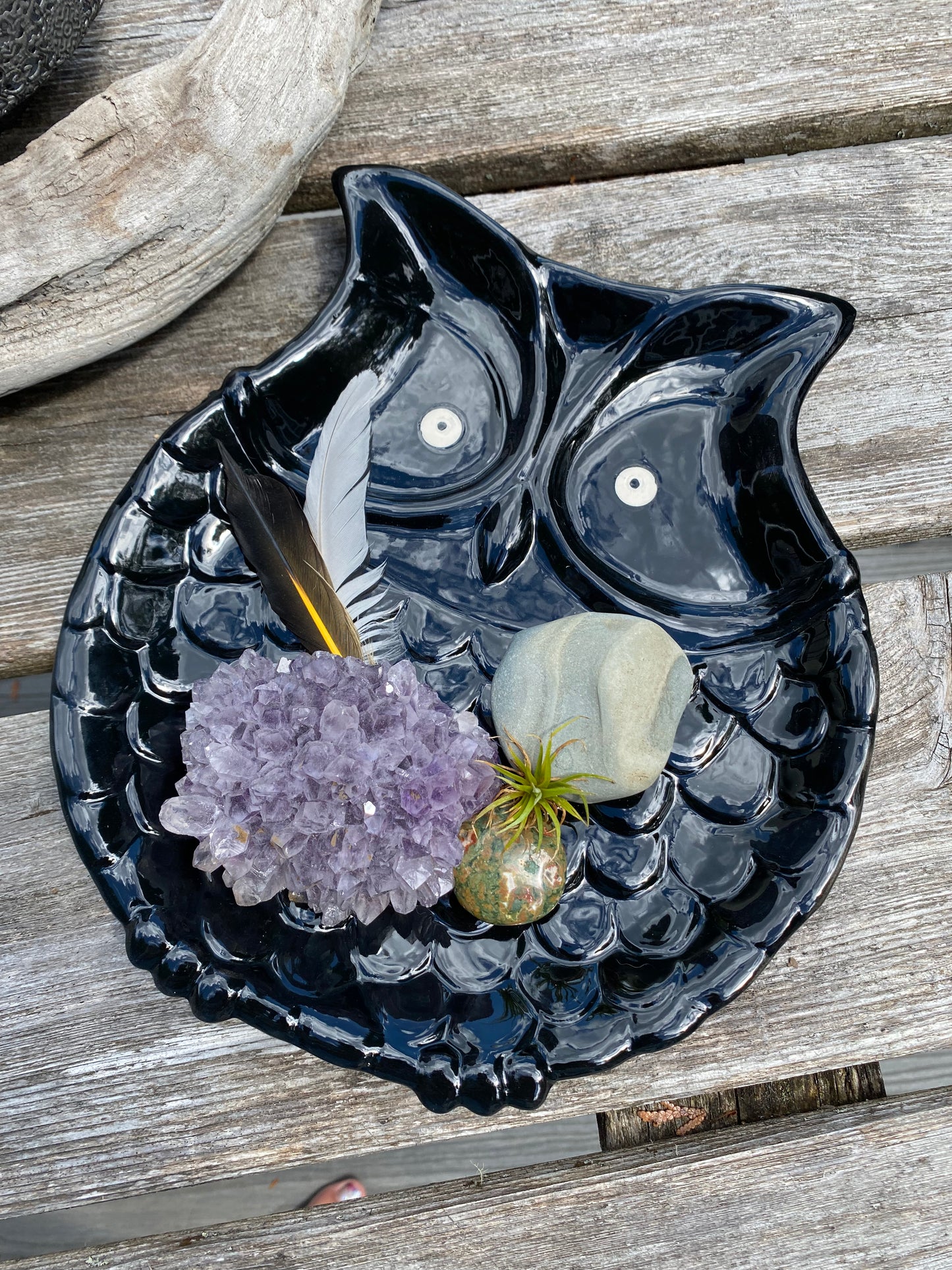Wise Owl plate